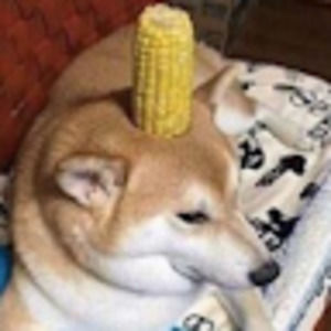 Meet your Posher, Gilbert